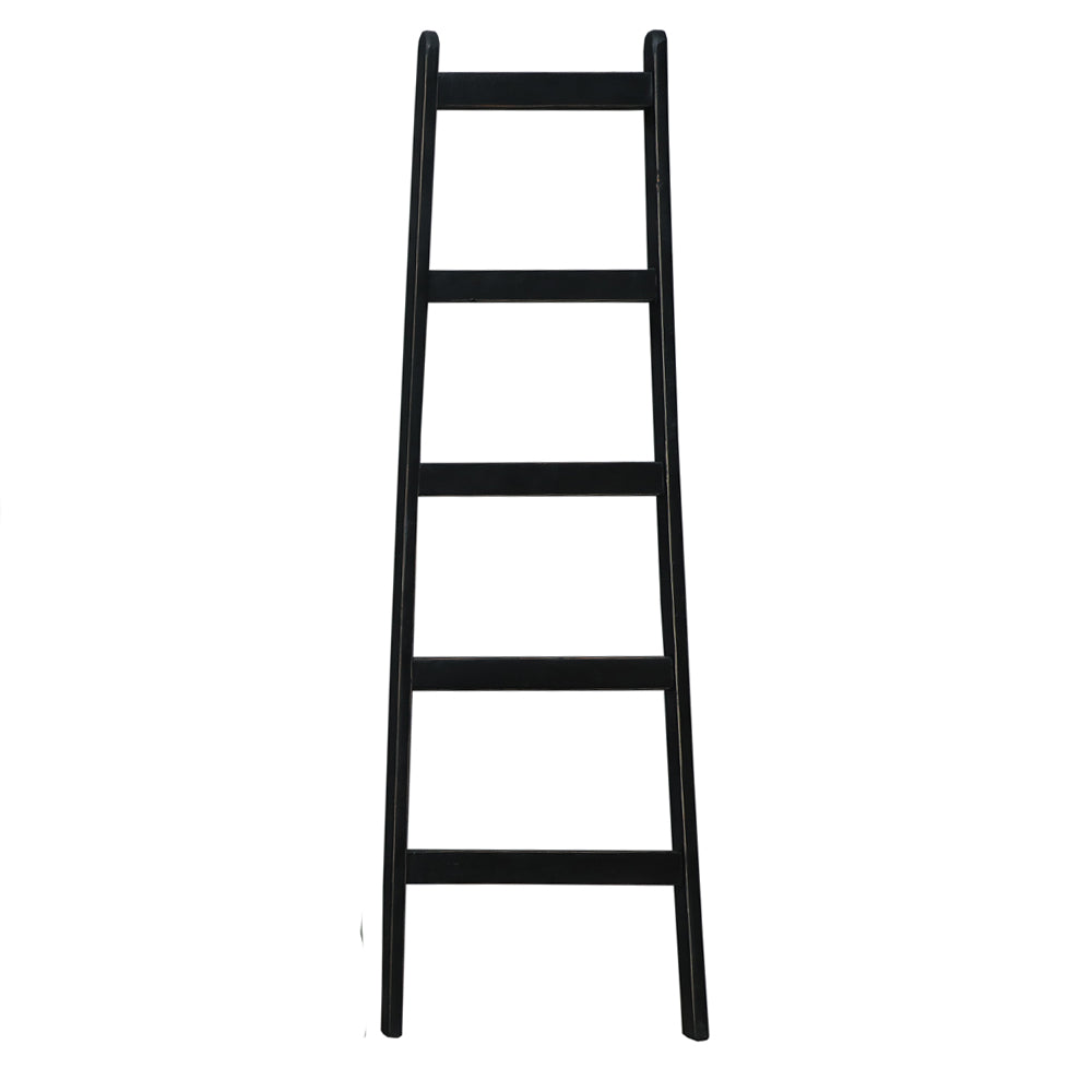 Painted Decorative Ladders