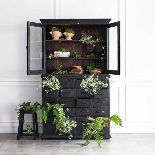The Ardagh | Antique Indian Teak Apothecary Cabinet