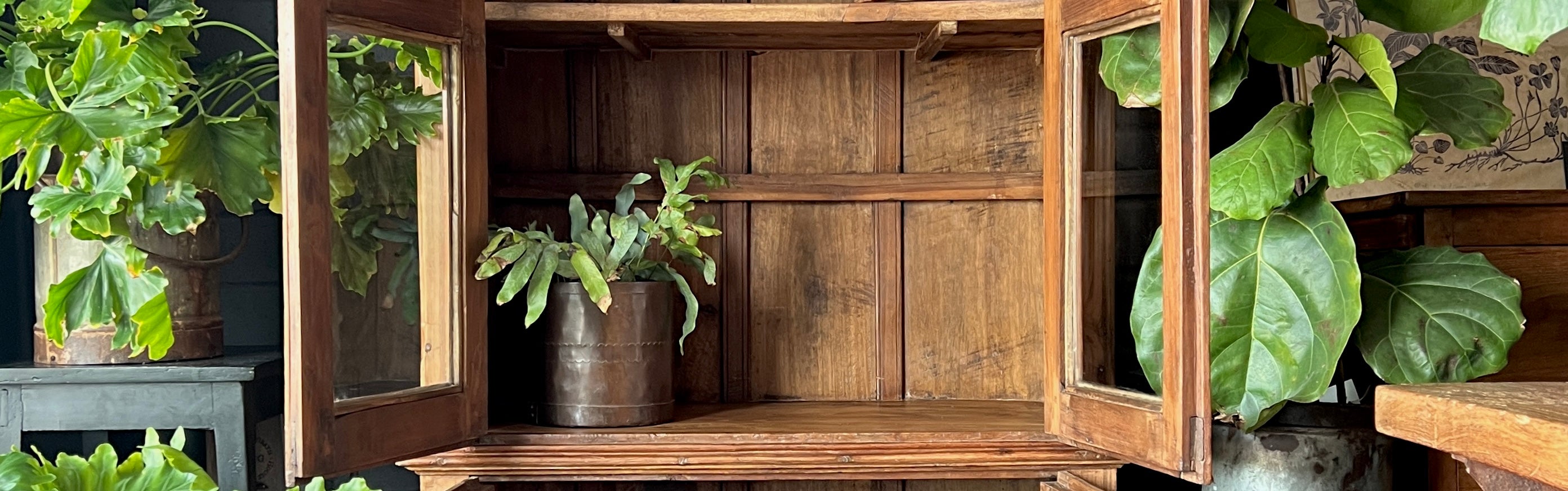 Interior view of an antique teak display dresser showing original shelving and glazed doors