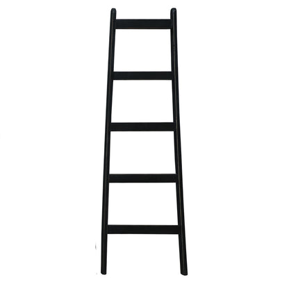 Painted Decorative Ladders
