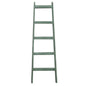 Painted Decorative Ladders