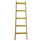 Painted Decorative Ladders
