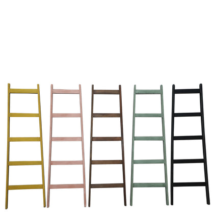 Painted Decorative Ladders