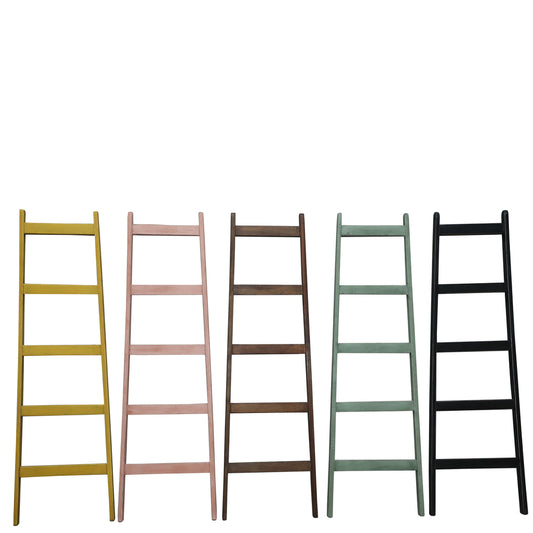 Painted Decorative Ladders