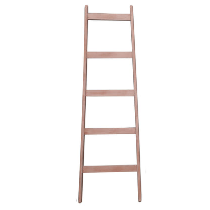 Painted Decorative Ladders