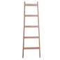 Painted Decorative Ladders